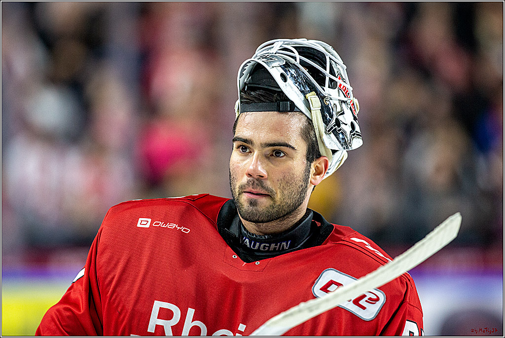 DEL; Koelner Haie - ERC Ingolstadt; Koeln, 03.11.2019
